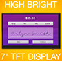 High Bright 1024 x 600 7.0" IPS TFT LCD with 