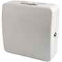 Wireless Access Point (WAP) Enclosures with Locks
